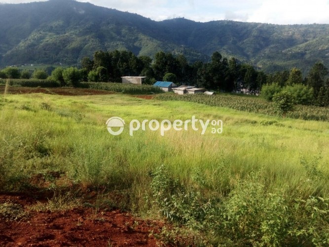 Sindhupalchowk land on sale