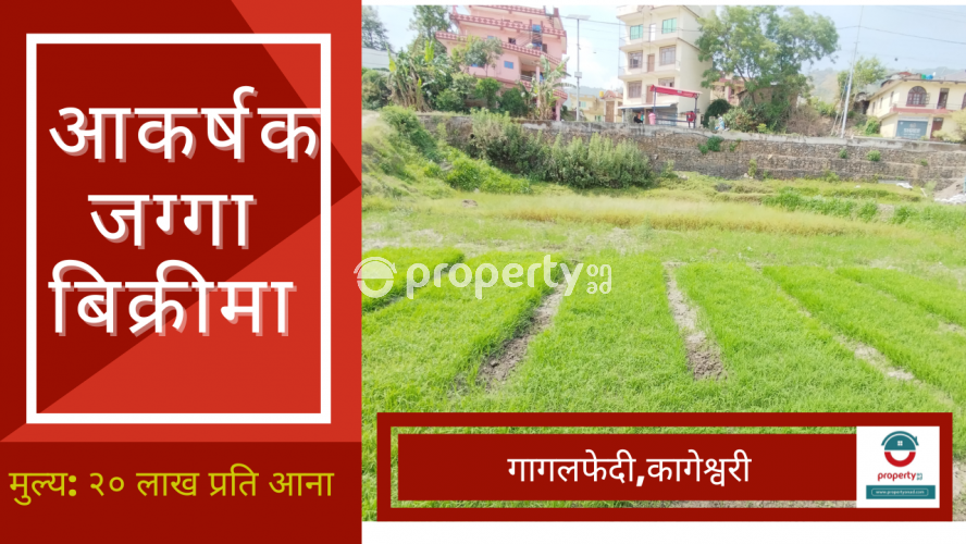 Gagalphedi, Land on sale